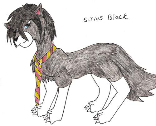 Wolfy Sirius Colored