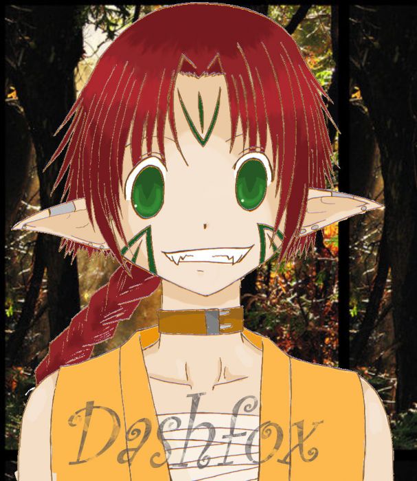 Elf Boy