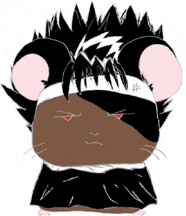 Hiei As A Hamster?