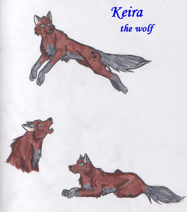 Keira The Wolf