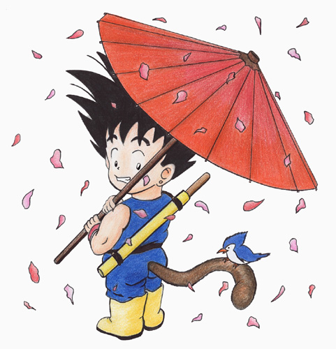 Goku With A Bird