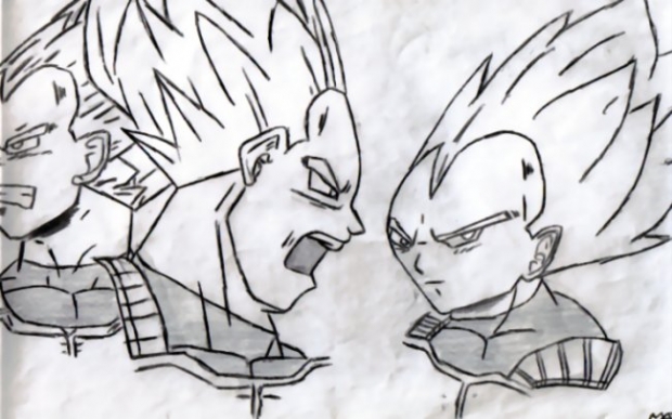 Vegeta Various