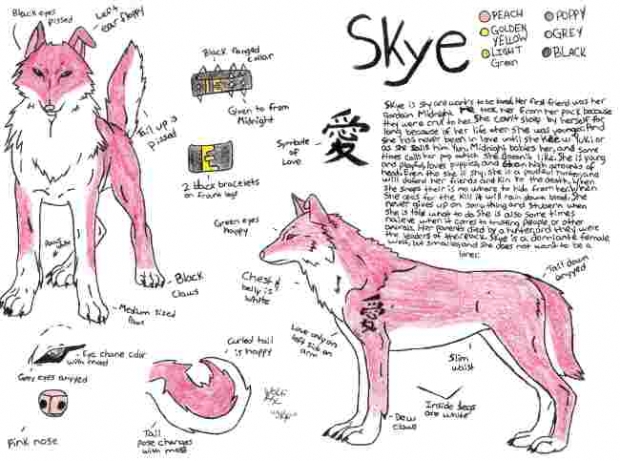 Skye *profile*