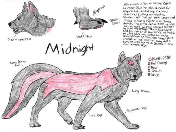 Midnight *profile*