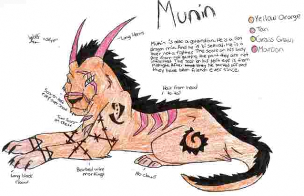 Munin *profile*