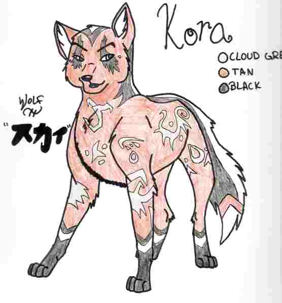 Kora  *profile*