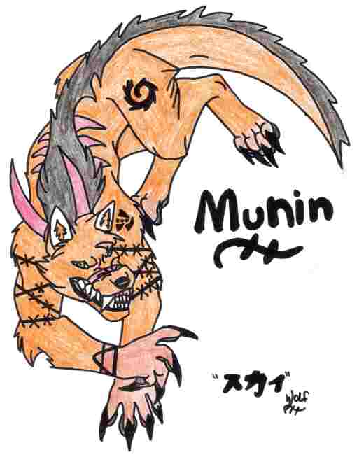 Munin Furry