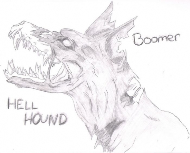 Boomer The Hell Hound