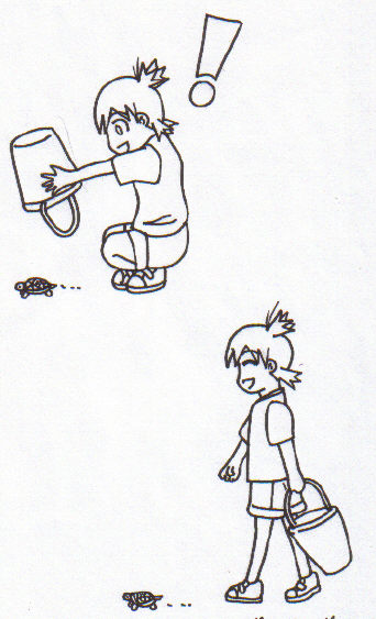 Yotsubato And Turtle