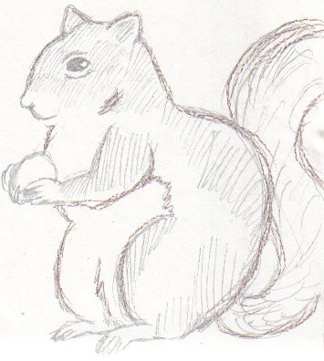 Squirrel ^-^