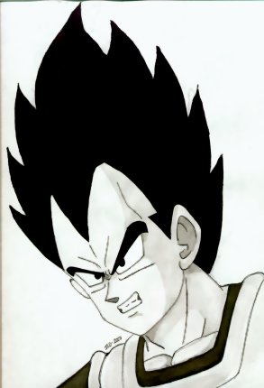 Vegeta 7