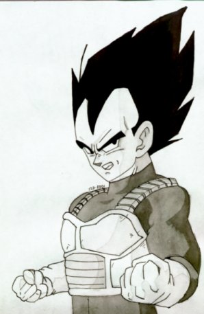 Vegeta 10