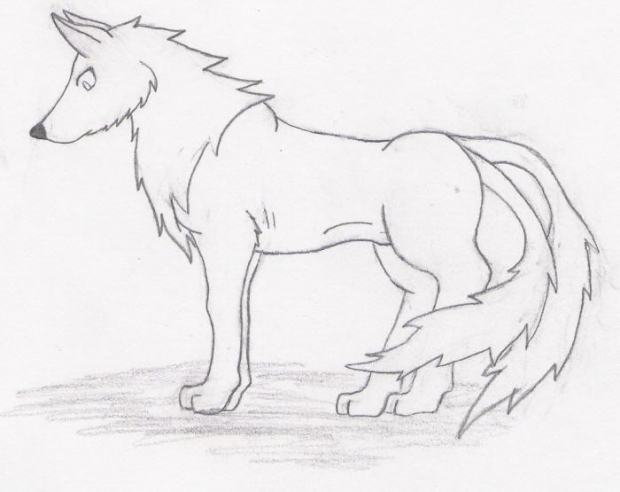 Two Tail Wolf