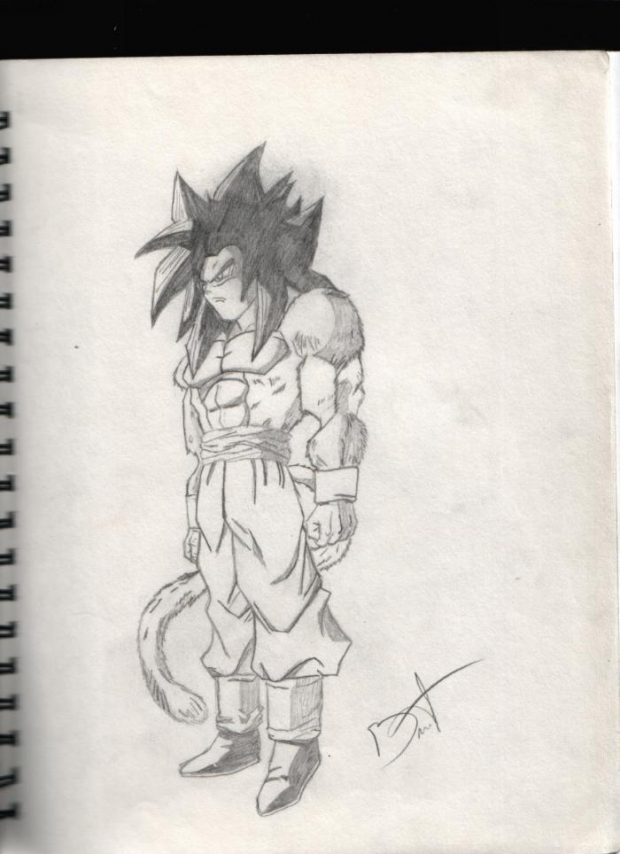 Ssj 4 Goku #2