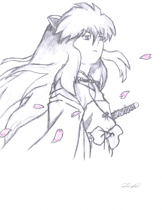 Cherry Blossom Inuyasha