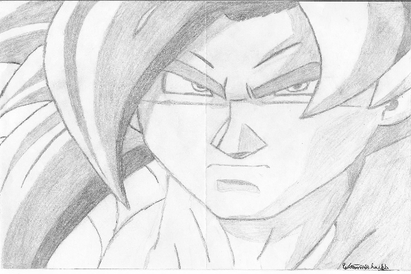 SSJ4 Gogeta