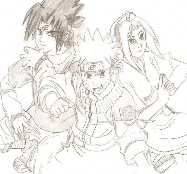 Team 7