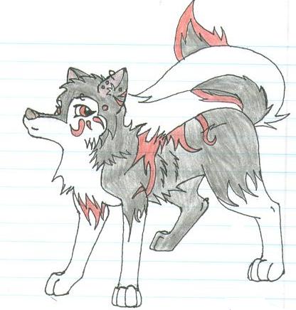 Wolf Amaya