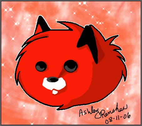 Fluff-fox