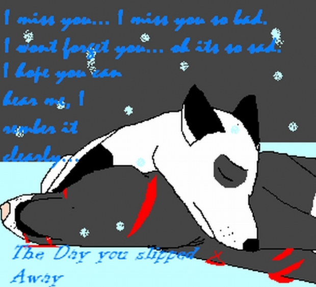 The Day You Slipped Away