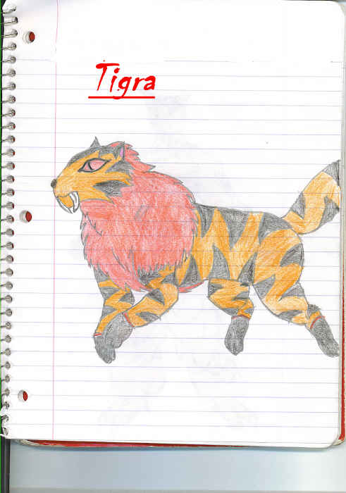 Tigra: Robin's Companian