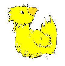 Chocobo