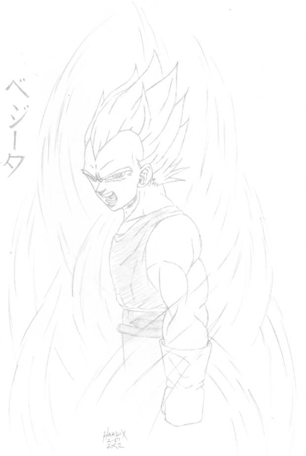 Vegeta's Fury