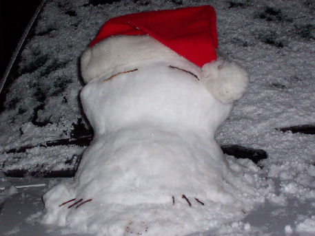 [the] Snow Blake On Car, With Hat