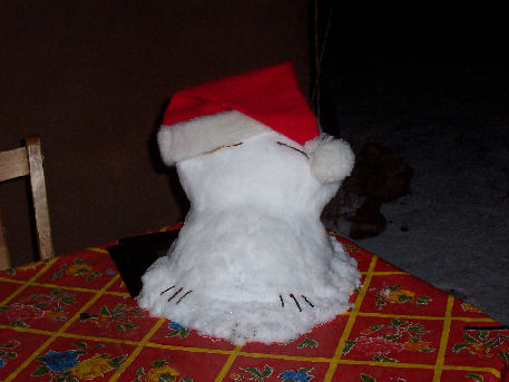 [the] Snow Blake On Table, With Hat