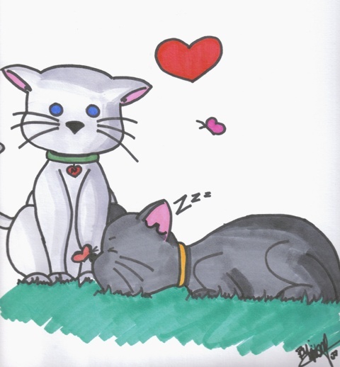 Valentine's Kitties!