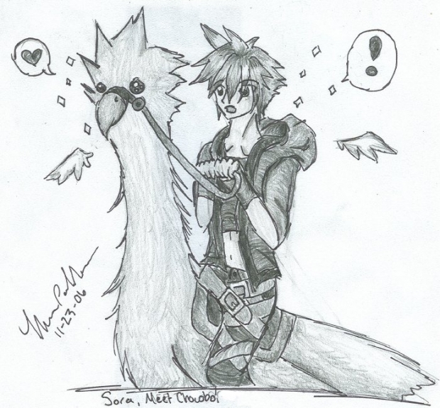 Sora, Meet Chocobo.