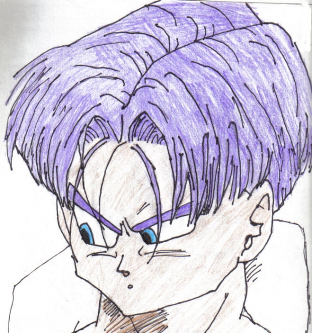 Trunks Brief