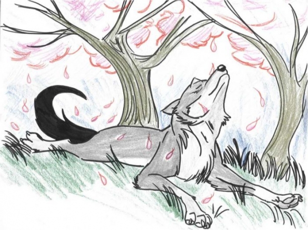 Blacktail And The Sakura Tree