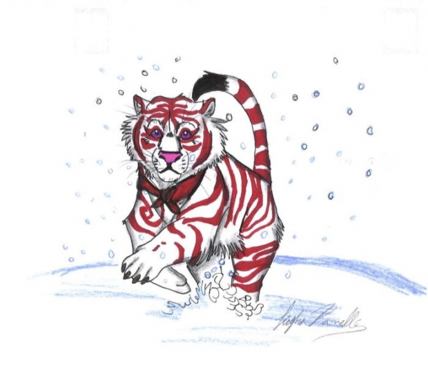 Tiger Rain