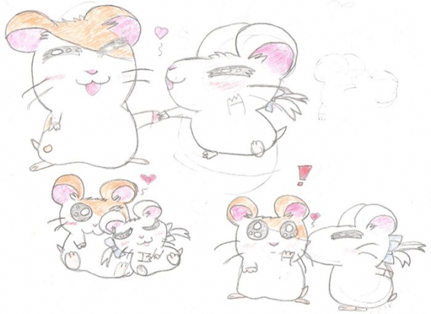 Hamtaro And Bijou!