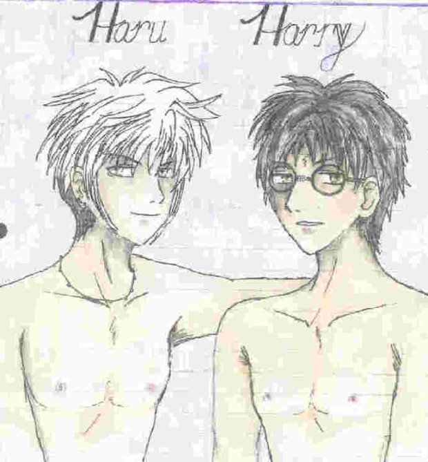 Harry And Haru