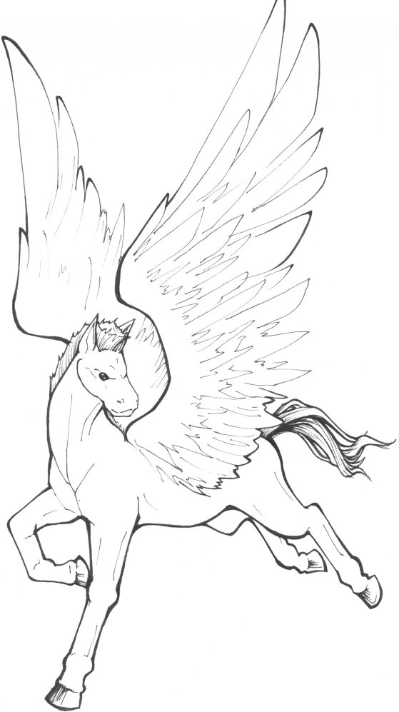 Pegasus