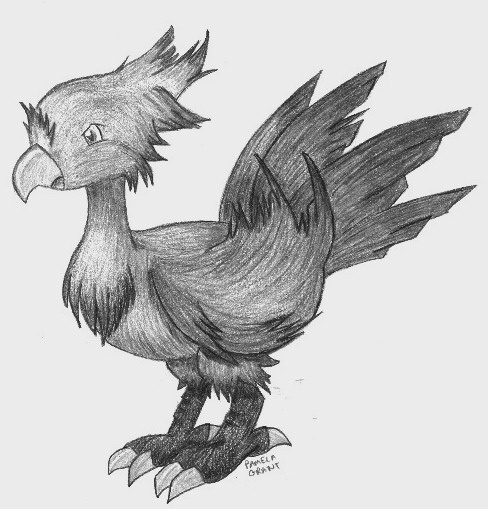 Shaded Chocobo