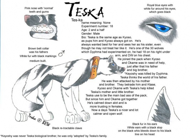 Teska Ref.sheet