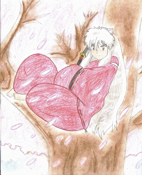 Inuyasha In A Cherry Tree