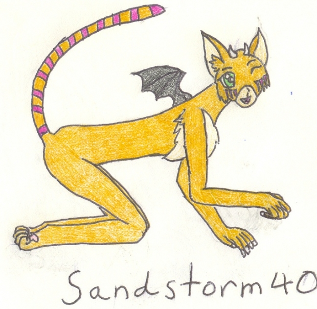 Sandstorm40