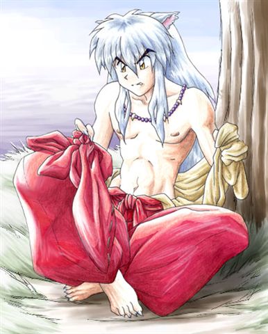 Wet Inuyasha