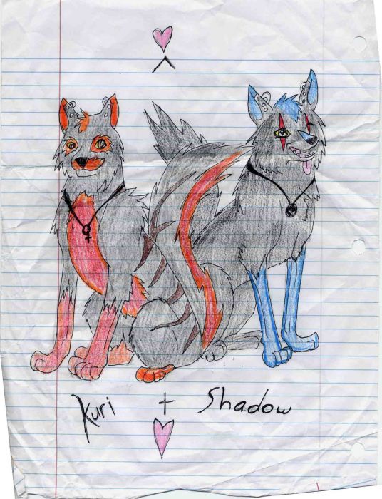 Shadow And Kuri