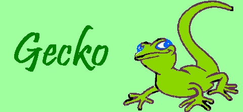 Gecko!!!