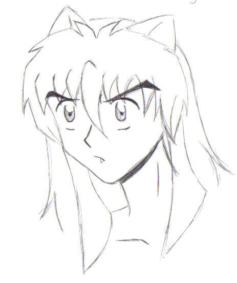 Inuyasha In Pen