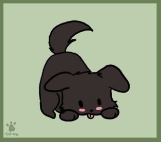 Little Black Puppy