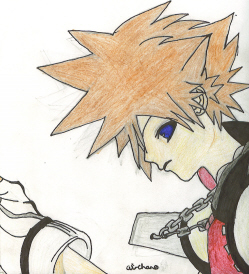 First Sora Last Version!