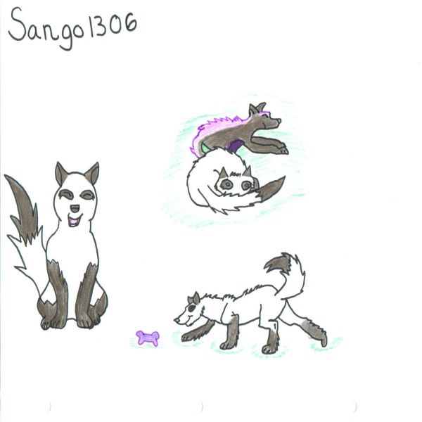 Gift For Sango1306