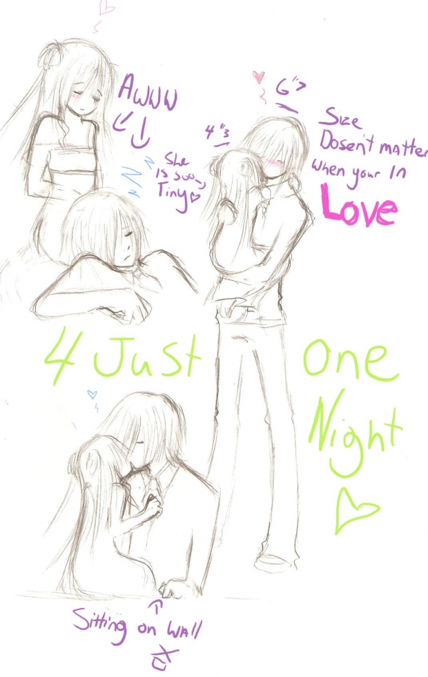 for just one night ( rough )