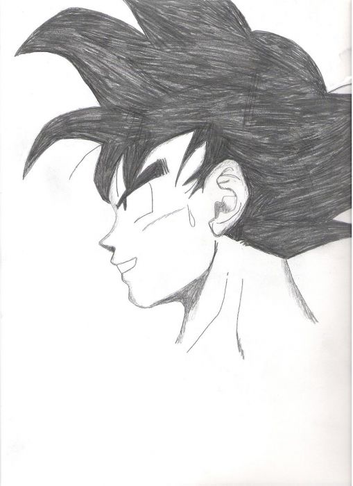 Goku Side View